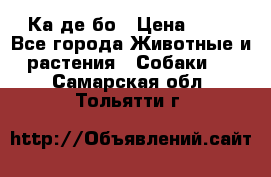 Ка де бо › Цена ­ 25 - Все города Животные и растения » Собаки   . Самарская обл.,Тольятти г.